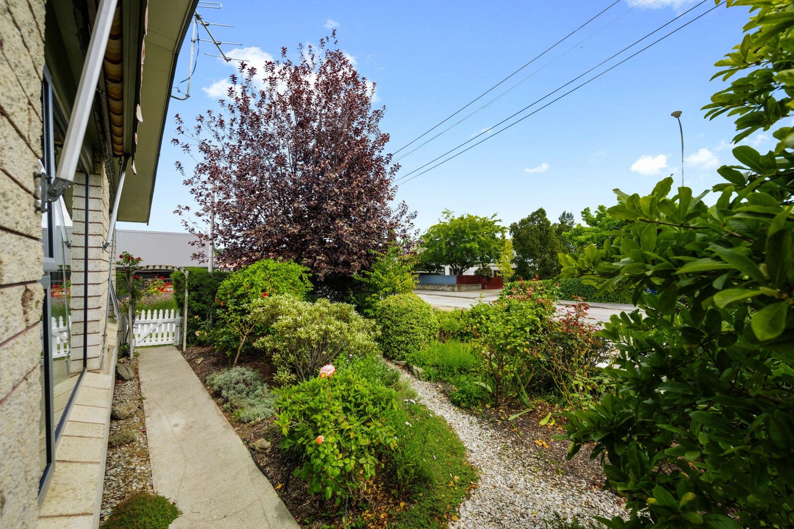 NZ